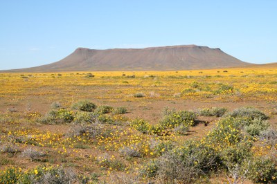 Tankwa Karoo National Park Landscape Units