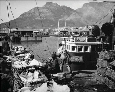 Historical South African Marine Fisheries Databases (1897-1938)