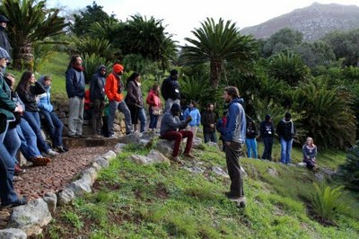 Fynbos walk and discussion in Kirstenbosch National Botanical Gardens