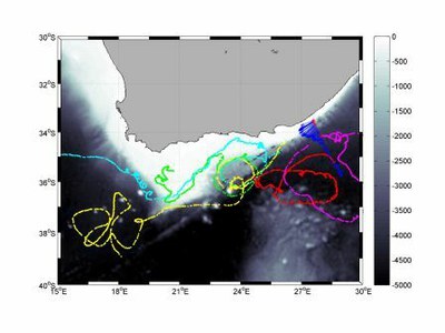 Drifter trajectories in the Agulhas Current - does it matter where they are deployed?