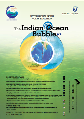 The Indian Ocean Bubble